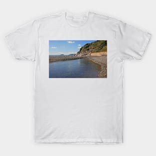 Seaton Beach and Looe Island, Cornwall, September 2021 T-Shirt